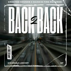 DankieFireRecords & Erected Sounds - Back 2 Back 