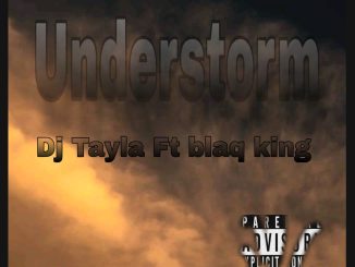 Dj Tayla - Understorm Ft blaq king