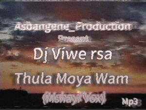 Dj Viwe rsa - Thula Moya Wam(Mshayi'Vox) 