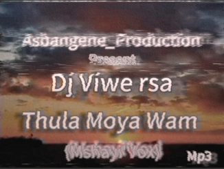 Dj Viwe rsa - Thula Moya Wam(Mshayi'Vox)