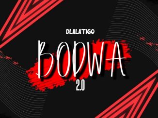 Dlala'Tigo - Bodwa 2.0