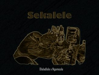 Dlaladlala & Ngamoola - Sekalele