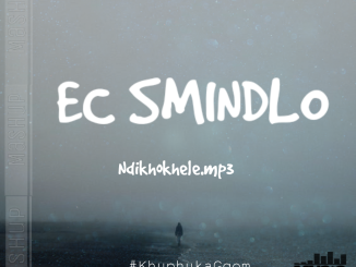 EC SMINDLO - Ndikhokhele