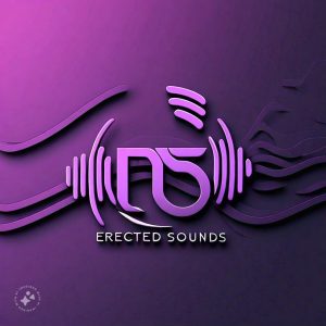 Erected Sounds - Log in Shandis 