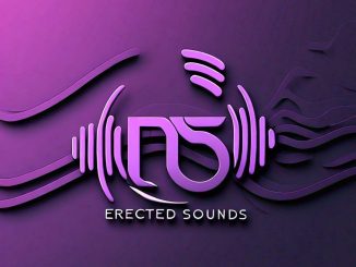 Erected Sounds - Log in Shandis