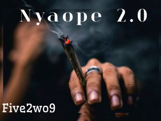 Five2wo9 - Nyaope