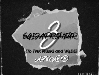 K4YGEE - Sgijapreneur 3 To Ft TNK MusiQ & W4DE