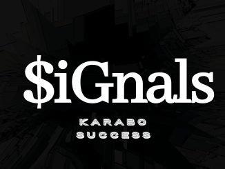 Karabo Success - Signals