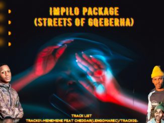 SouthernRhythm & Mhleskwana (LeNgomaRec) - Impilo Package (StreetsOfGqeberha)