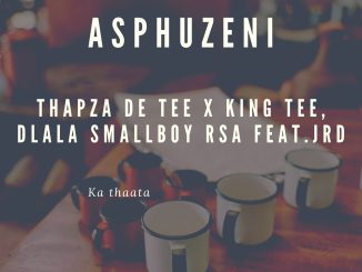 Thapza De Tee & KinG Tee, Dlala Smallboy Rsa - Asphuzeni Ft JRD