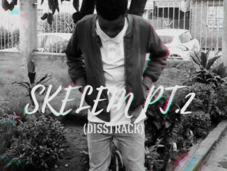 Thato Mathata - SKELEM PT.2 (DISSTRACK)