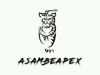 AsambeApex - Do Not Disturb.