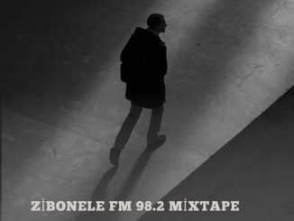 Dj Links SA MusiQ - ZiboneleFM mixtape