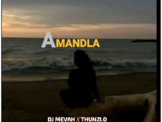 Dj MevaH - Amandla Ft Thunzi.O & De Real Simo