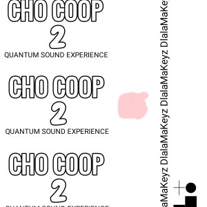 DlalaMaKeyz - Cho Coop 2 Quantum Sound Experience 