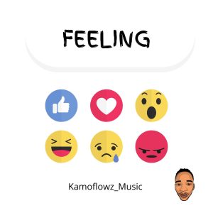 Kamoflowz Music - Feeling 