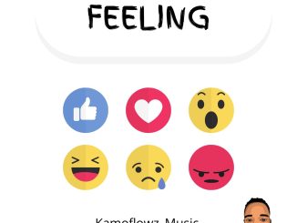 Kamoflowz Music - Feeling