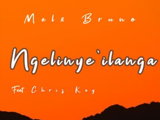 Melz Bruno - Ngelinye iLanga Ft Chris Key