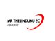 Mr Thelinduku Ec - Amandwendwe