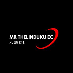 Mr Thelinduku Ec - Now Or Never! 