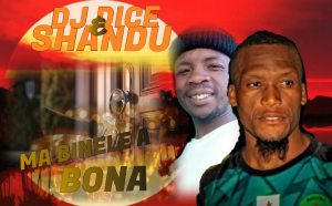 Shand & dj dice - Mabinele a bona