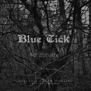 Mr Ziphathe - Blue Tick 