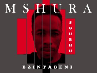 Mshura - Ezintabeni