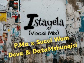 P.Ma x Succi Wom Deva & DataMshunqisi - ISTAYELA