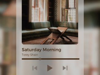 Torey Shain - Saturday Morning