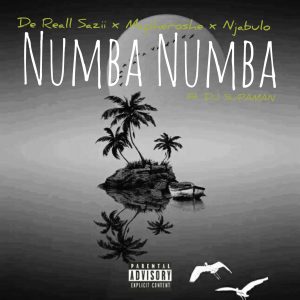 De Reall Sazii, Mapheroshe & Njabulo - NUMBA NUMBA [ OFFICIAL AUDIO ] 