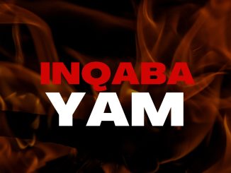 Dj Links SA MusiQ - Inqaba Yam Ft Minister Billy x Mega Yaya