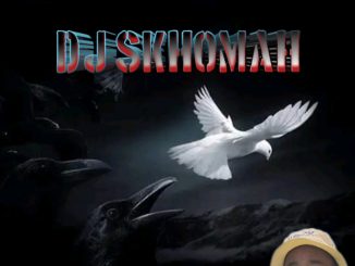 Dj SkhomaH - Fly Higher