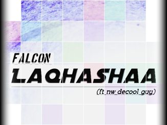 Falcon - Laqhashaa Ft NW deCool Guy