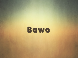 Msandy - Bawo