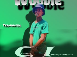 Prince_Keys & terminator - Wooble Ft P-de vocalist u