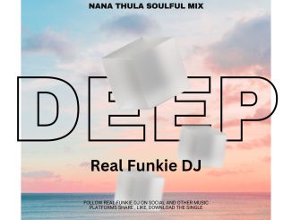 Real Funkie DJ - Nana Thula Soulful Mix