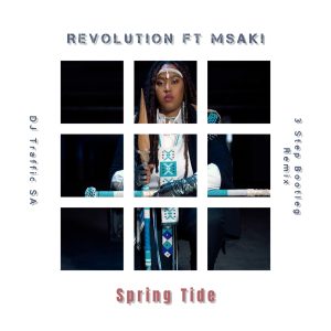 Revolution - Spring Tide (3 Step Bootleg Remix ) DJ Traffic SA Ft. Msaki