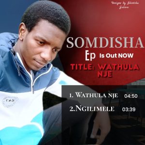 SOMDISHA - Ngilimele 