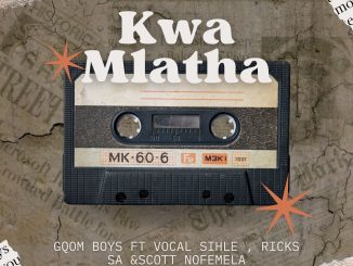 GQOMBOYZ & Various artists - KwaMlatha