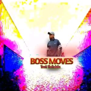 Touch Thelinduku x Ngu Ledza Lo - Boss Moves (Visualizer) 