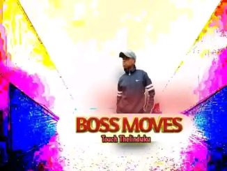 Touch Thelinduku x Ngu Ledza Lo - Boss Moves (Visualizer)