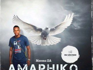 Msoma ZA - Amaphiko