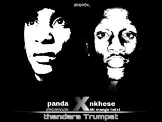 PANDA X NKHESE - AFRICAN BLACK CHILD