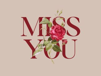 Swish Aligant Boy - I miss you